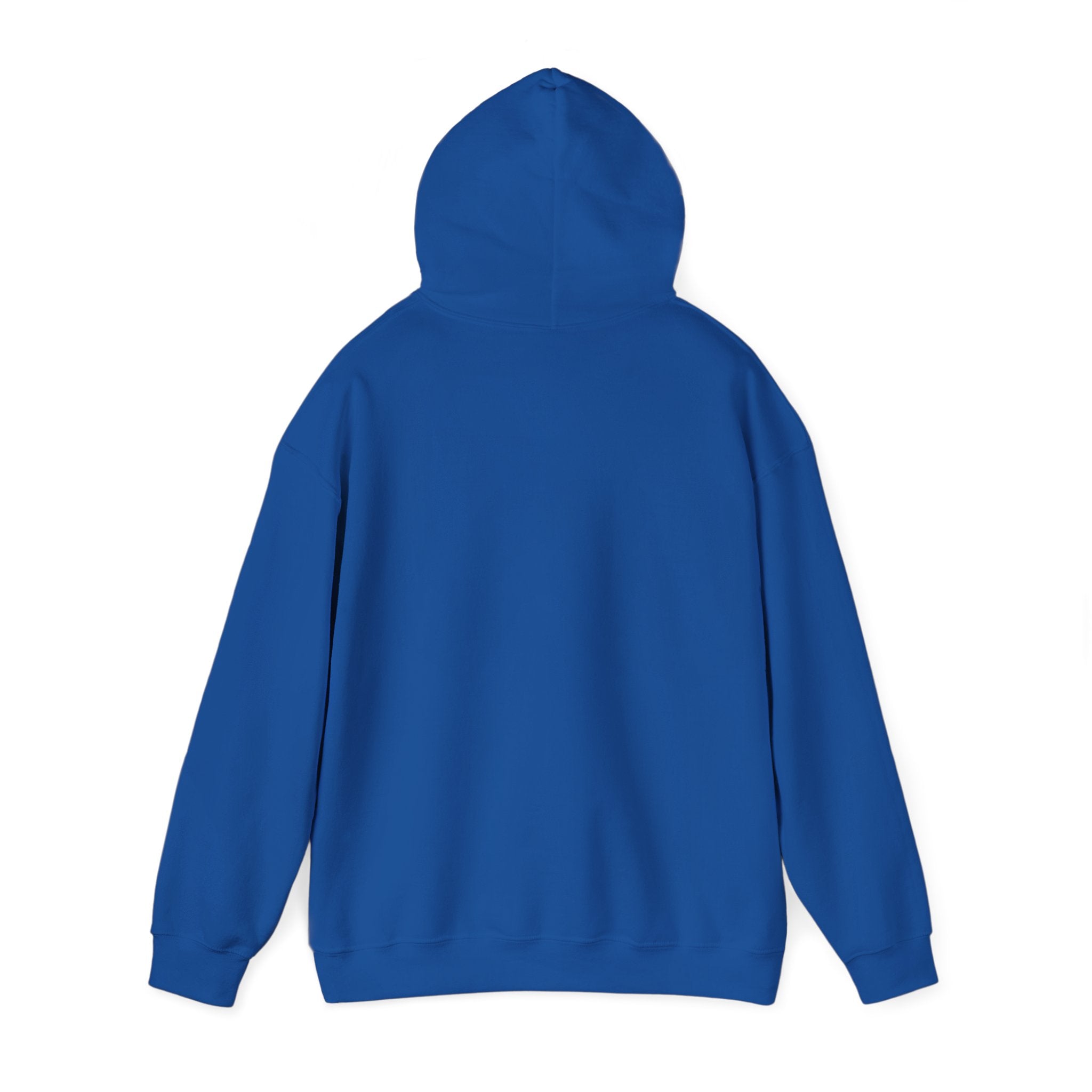 Vintage Style Jesus Hoodie, Unisex Sweatshirt, Faith Apparel, Religious Gift, Christian Clothing, Casual Wear