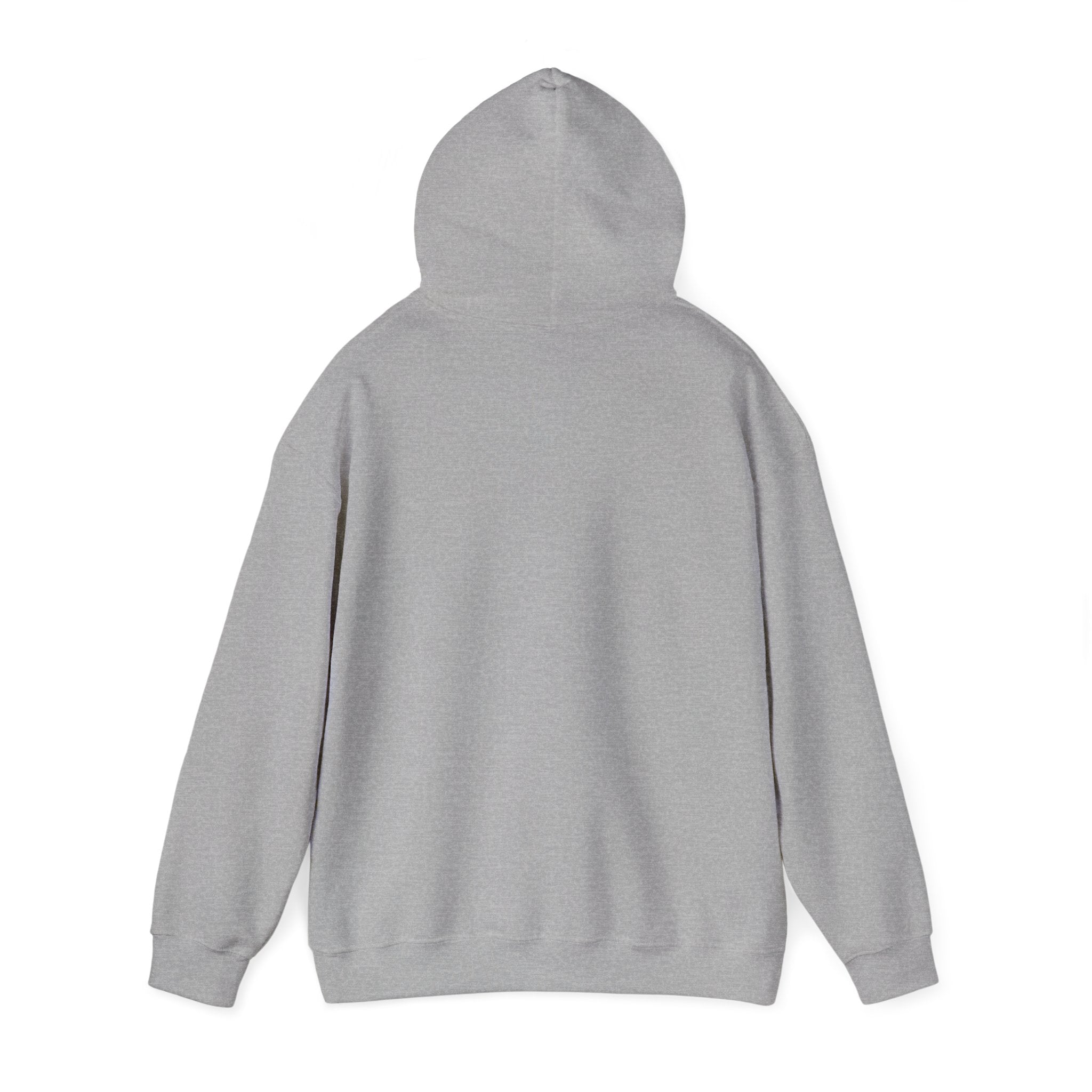 Vintage Style Jesus Hoodie, Unisex Sweatshirt, Faith Apparel, Religious Gift, Christian Clothing, Casual Wear
